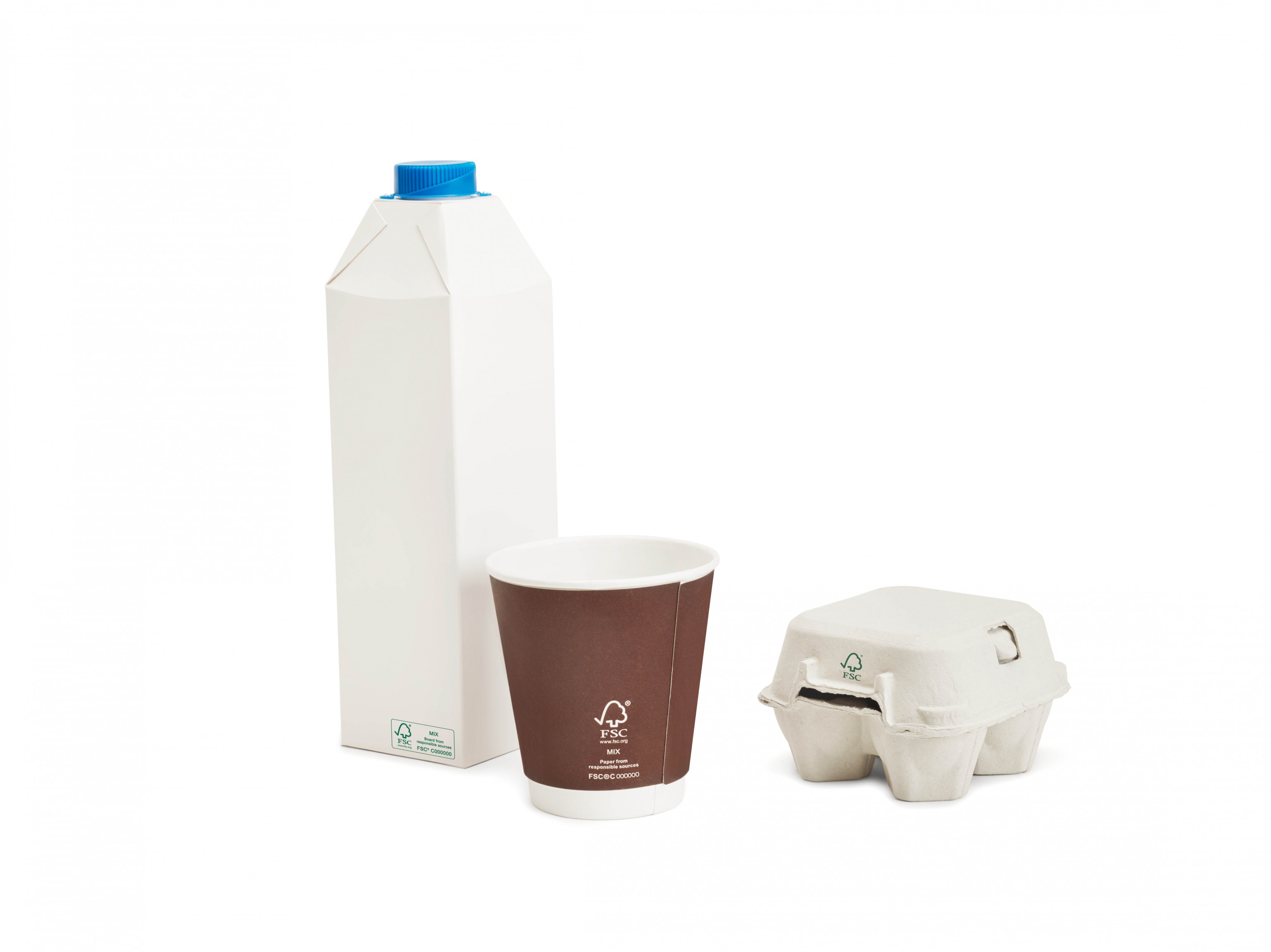 Certificazione FSC in Italia: il report 2020 | Forest Stewardship Council