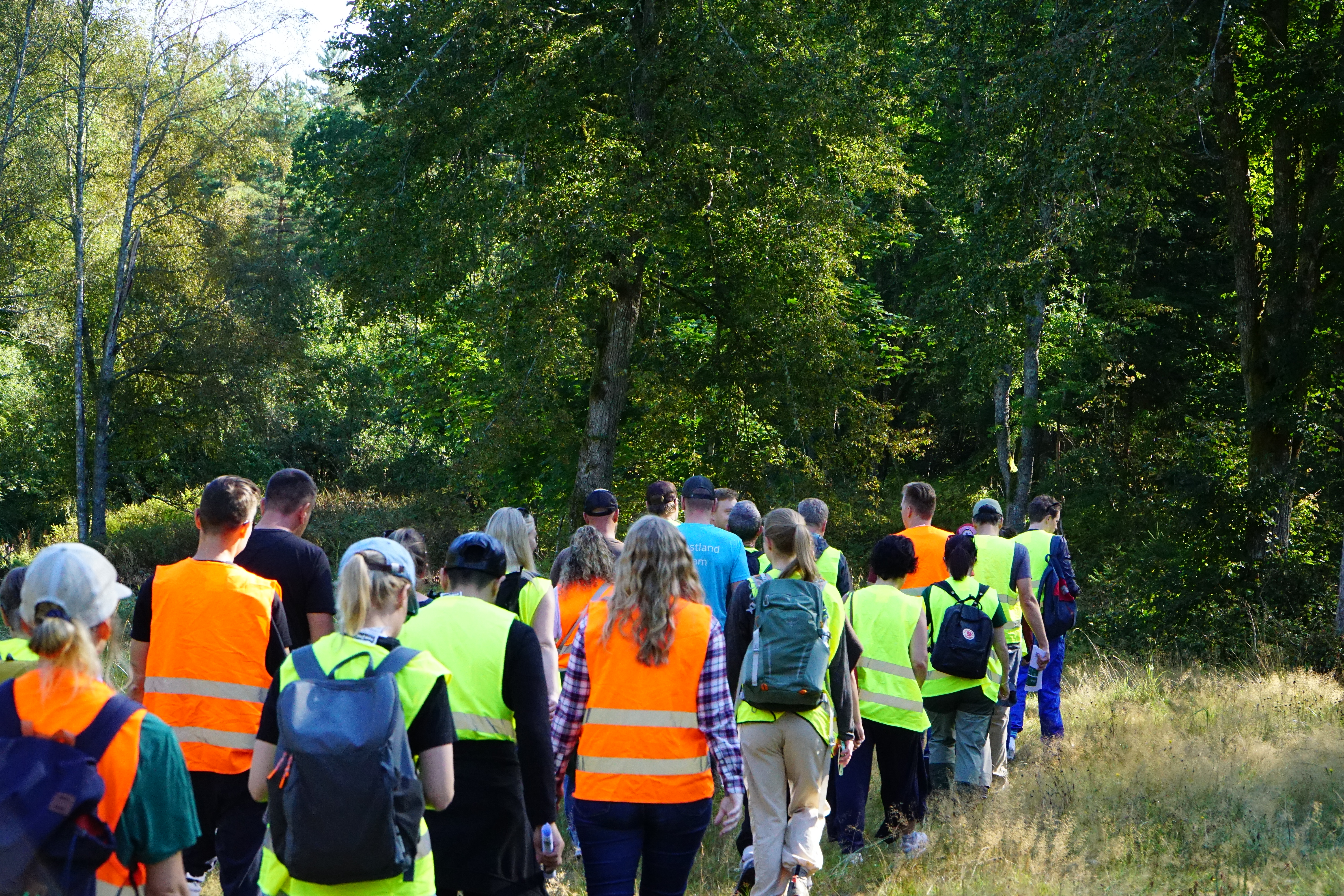 FSC people walking