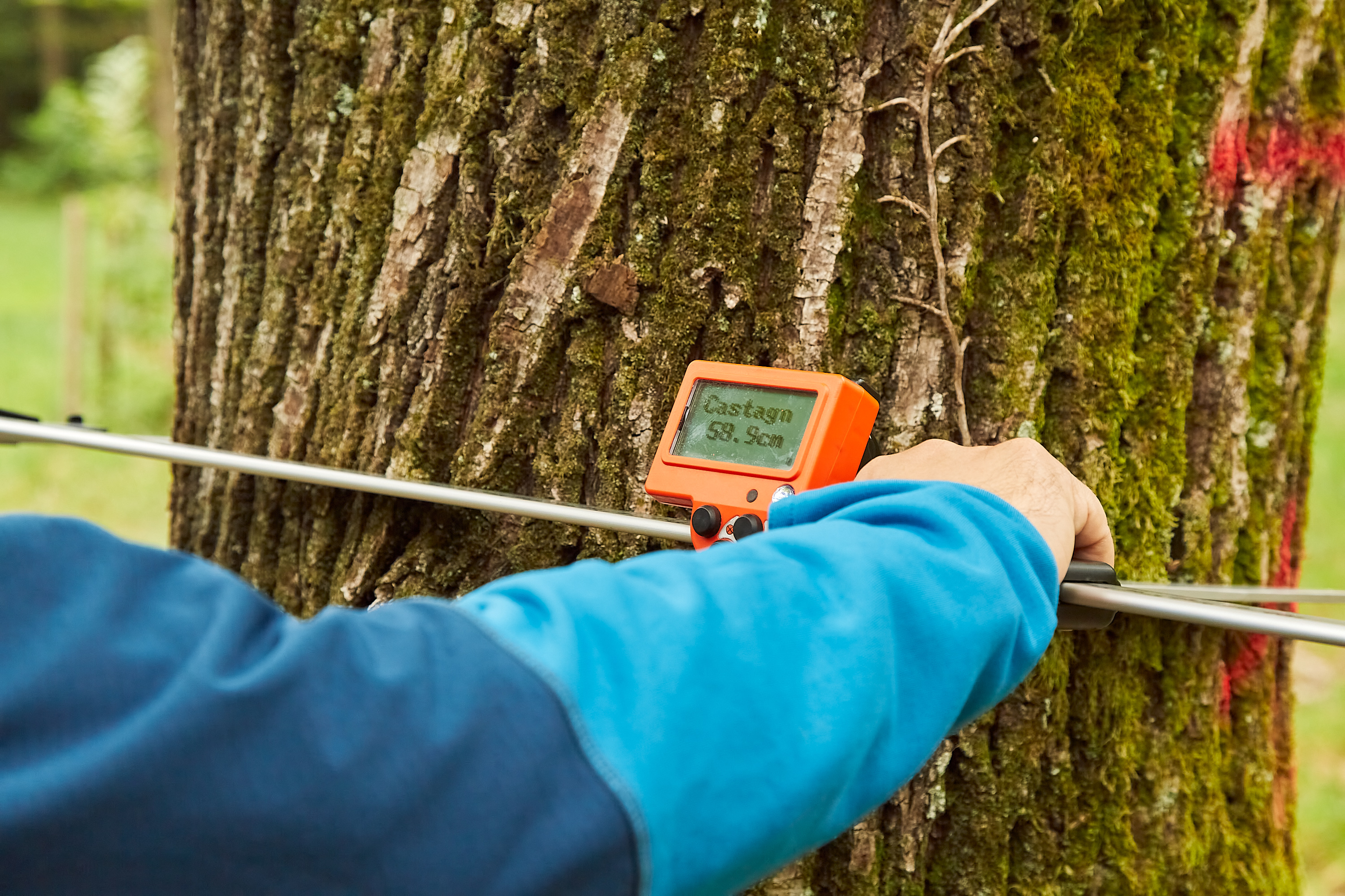 Workshop #3: Associazioni forestali e sostenibilità economica - Strategie di gestione e opportunità di crescita