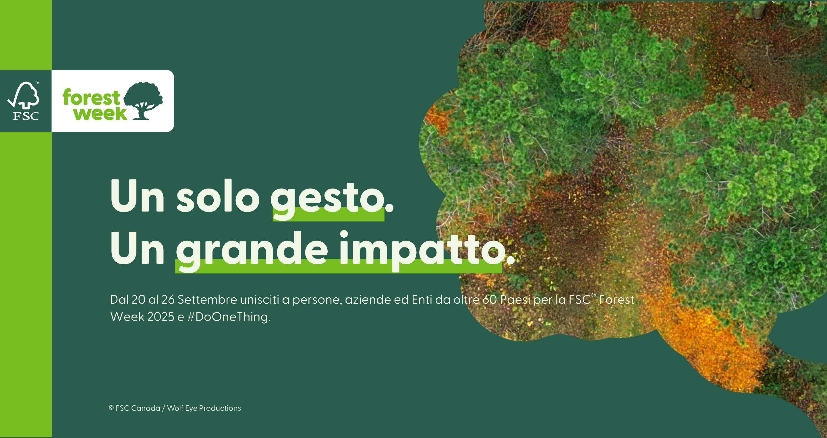 FSC Forest Week 2025 homepage banner