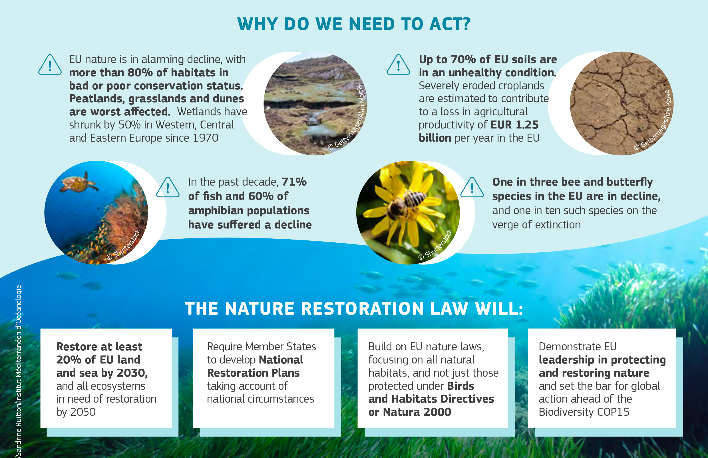 Perchè Nature Restoration Law