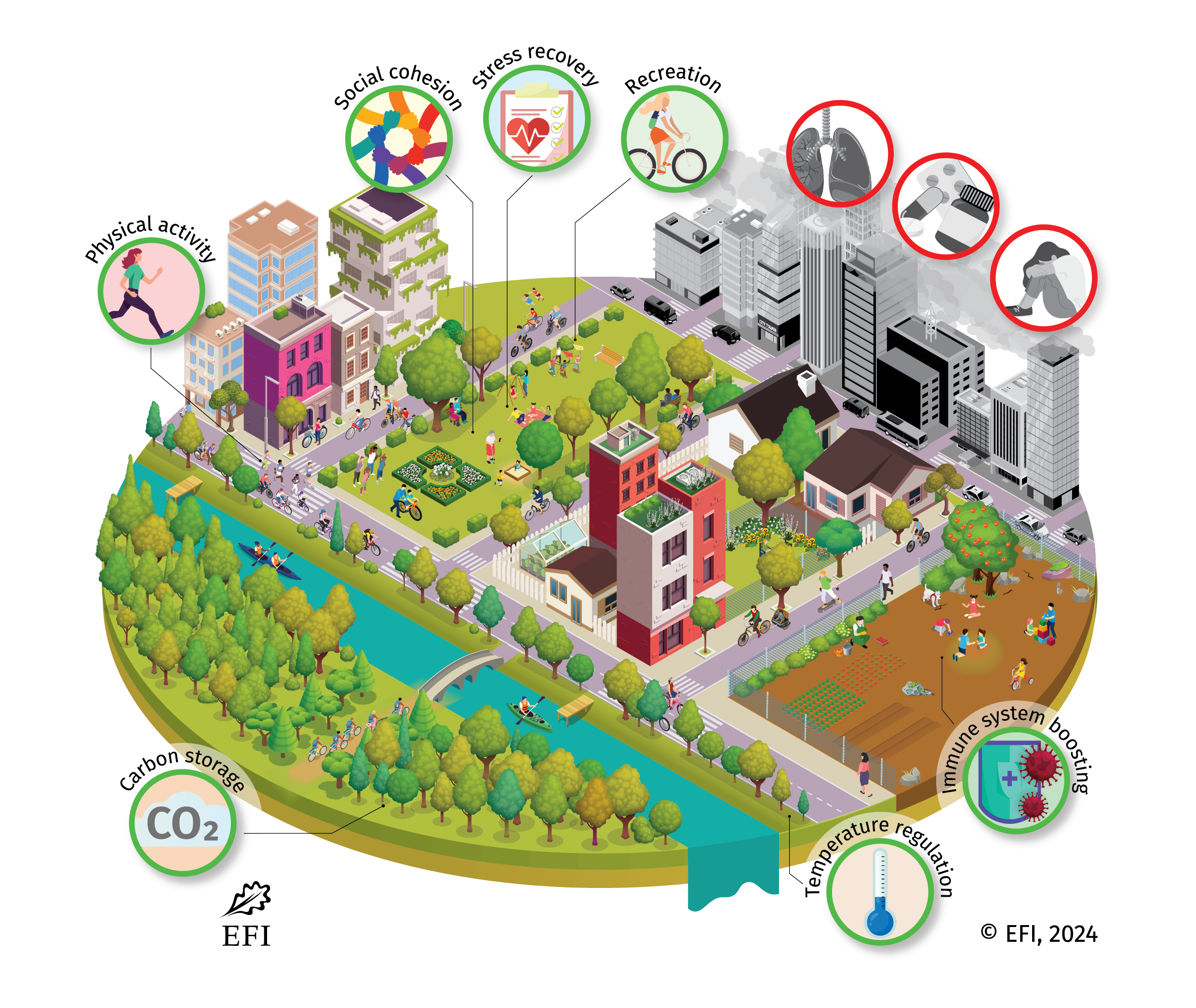 L’importanza delle foreste urbane per la nostra salute