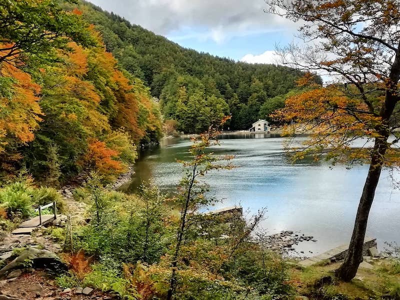 Parco nazionale dell'Appennino Tosco-Emiliano