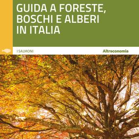 Una guida alla foreste italiane