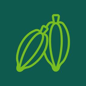 FSC EUDR cacao