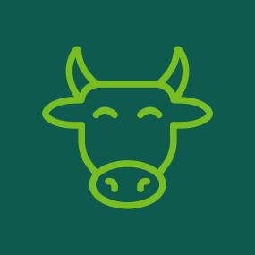 FSC EUDR carne di manzo