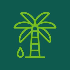 FSC EUDR olio di palma