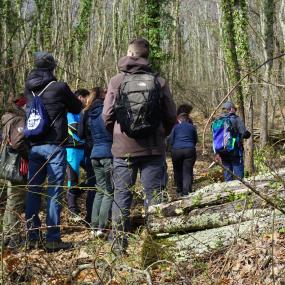 FSC Forest Association Contest