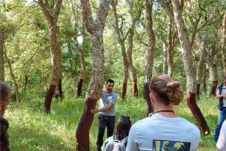 FSC Italia al Southern European Regional Meeting (SERM) di IFSA