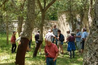 L’Association Forêt Méditerranéenne in visita alla sughereta sperimentale certificata FSC