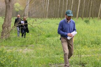 Chiusa la consultazione online sulla prima bozza dello standard nazionale di Gestione Forestale FSC