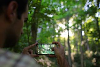 From Woodland to Woodwork: un concorso fotografico per celebrare i 75 anni di UNECE e la gestione sostenibile delle foreste 