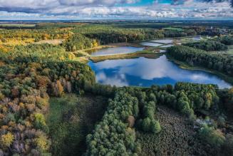 Alla COP27 FSC lancia la Climate Coalition per guidare il progresso verso soluzioni climatiche basate sulle foreste