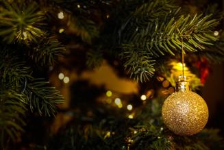 Per un Natale all’insegna di sostenibilità e foreste