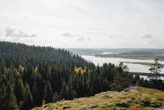 Terminati gli ultimi certificati FSC in Russia