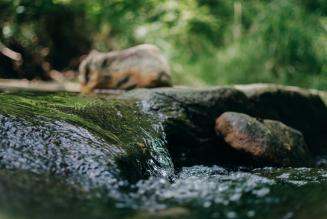 Acqua e foreste: due risorse da gestire e valorizzare nell’era del climate change