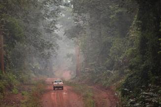 Le foreste ALPI in Camerun ottengono la certificazione FSC®