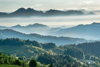 Legge per il ripristino della natura: Parlamento EU e Stati membri raggiungono un accordo storico