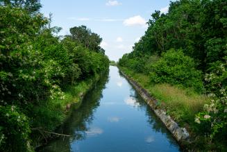 Come la finanza sostenibile può sostenere la biodiversità forestale