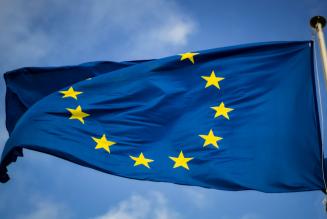 Elezioni europee 2024: quanto contano le foreste nei programmi dei partiti italiani?