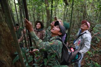I primi risultati del ciclo di verifica delle transazioni in Vietnam