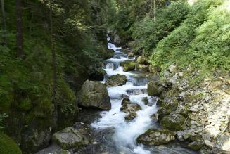 La Nature Restoration Law, finalmente