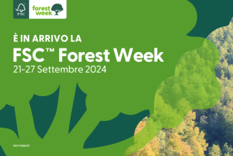 Una FSC Forest Week 2024 all’insegna di piccoli passi e grandi cambiamenti