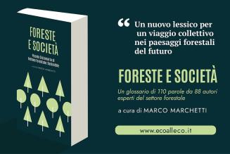 Un dizionario fondamentale della gestione forestale sostenibile