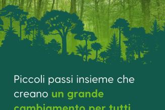 FSC Forest Week 2024: piccoli passi per un’azione globale collettiva