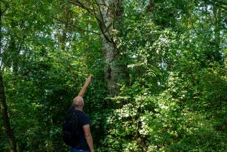 FSC Italia al Forum sulla Bioeconomia delle Foreste di Legambiente