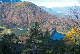 Doppia certificazione per la foresta di Fusine 