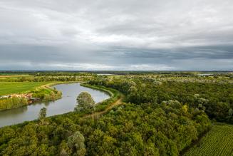 Un racconto di tre foreste