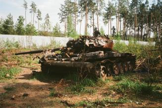 Foreste, gestione responsabile e futuro dell’Ucraina