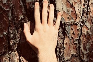 Facciamo assieme la cosa giusta per le foreste