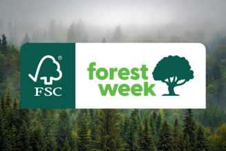 Una giornata lunga una settimana: le origini della FSC Forest Week