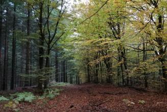 [CONSULTAZIONE] Società Agricola Campomo (CR)