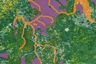 FSC ed Esri rafforzano la partnership per migliorare la gestione forestale globale