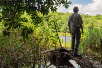  Crisi climatica, protezione delle foreste e consumo responsabile: la nuova ricerca di IPSOS per FSC