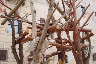 Dalla ferita alla forma. Kengo Kuma e l’architettura in legno che rigenera