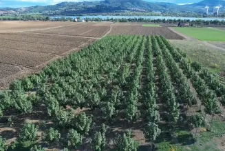 [CONSULTAZIONE] Wonder K Green S.r.l. (PG)