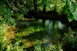 "Teniamo insieme foreste, persone e futuro”: il messaggio del Direttore di FSC Italia