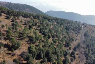 [CONSULTAZIONE] Comune di Calci (PI)