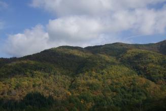 Revisione Principi&Criteri