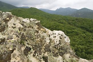 Foresta Demaniale di Gutturu Mannu