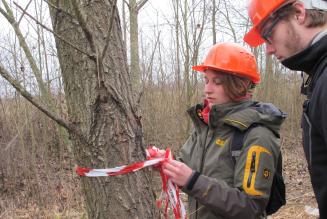 Gestione Forestale Responsabile