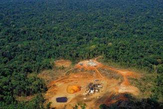 La Provincia di Roma contro la deforestazione