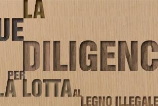 Conferenza "La Due Diligence per la lotta al legno illegale"