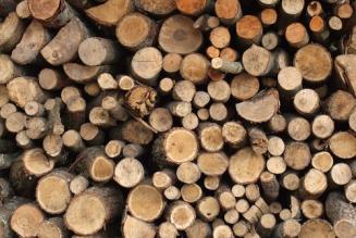 FSC aggiorna il sistema del Legno Controllato