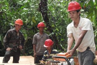 Nasce il fondo FSC per i piccoli proprietari terrieri