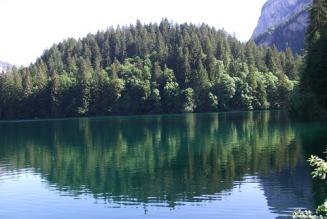 Azione congiunta di FSC e PEFC contro la proposta di standard ISO per COC dei prodotti forestali